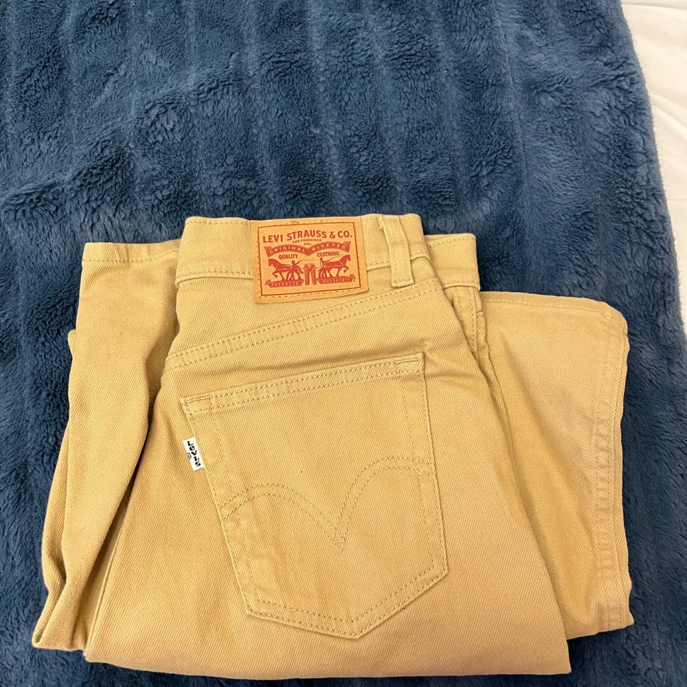 Brand new Levi’s carpenter pants